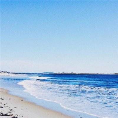 大发彩票下载手机版