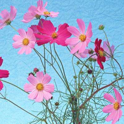 奥亚国际-登录入口