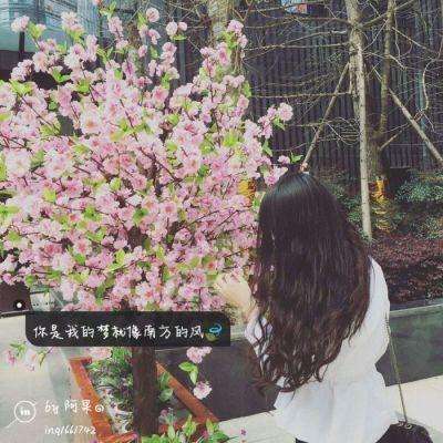 澳门·威斯尼斯wns888入口